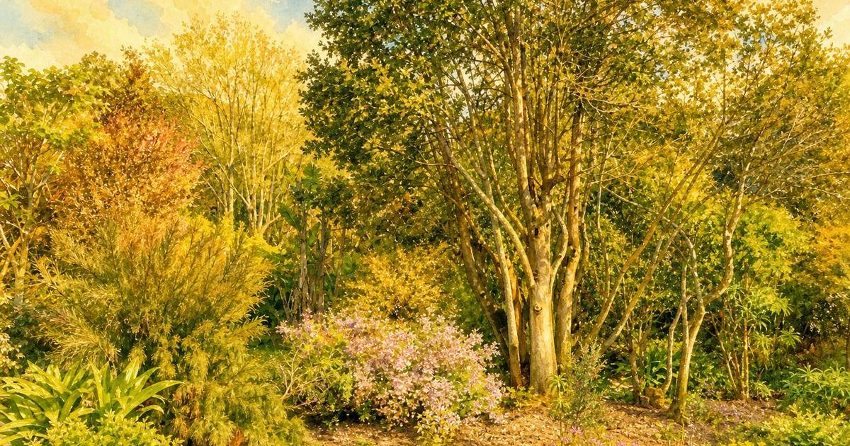 Watercolour illustration of Trengwainton Garden, Issue 8